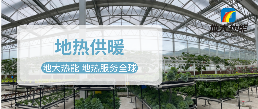 發揮地熱資源優勢，地熱農業實現花卉產業特色發展 | 地大熱能 地熱服務全球