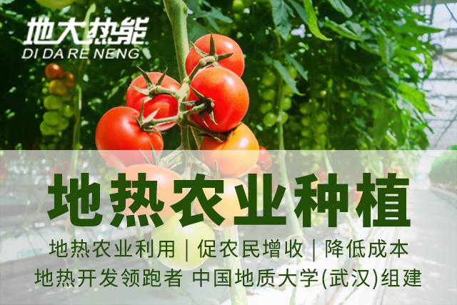 地?zé)豳Y源:內(nèi)蒙古發(fā)現(xiàn)的巨型地?zé)崽镉心男├梅绞剑康卮鬅崮? align= 地?zé)豳Y源:內(nèi)蒙古發(fā)現(xiàn)的巨型地?zé)崽镉心男├梅绞剑康卮鬅崮? width=